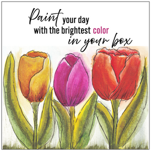 Print-Lustre-5x5-20250813212827208