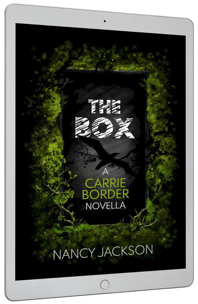 The Box - a Carrie Border novella - eBook