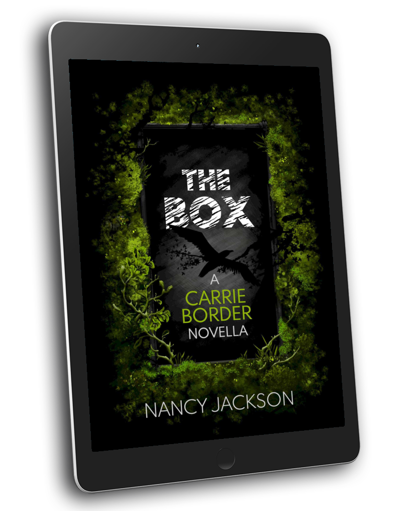 The Box - a Carrie Border novella - eBook