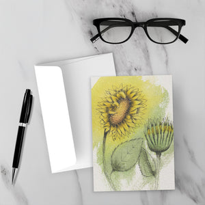 Greet-Fold-5x7-McCoy-Single-5Pack-20251015135730171