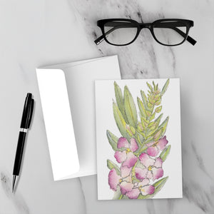 Greet-Fold-5x7-Dull-Single-5Pack-20250814155508395