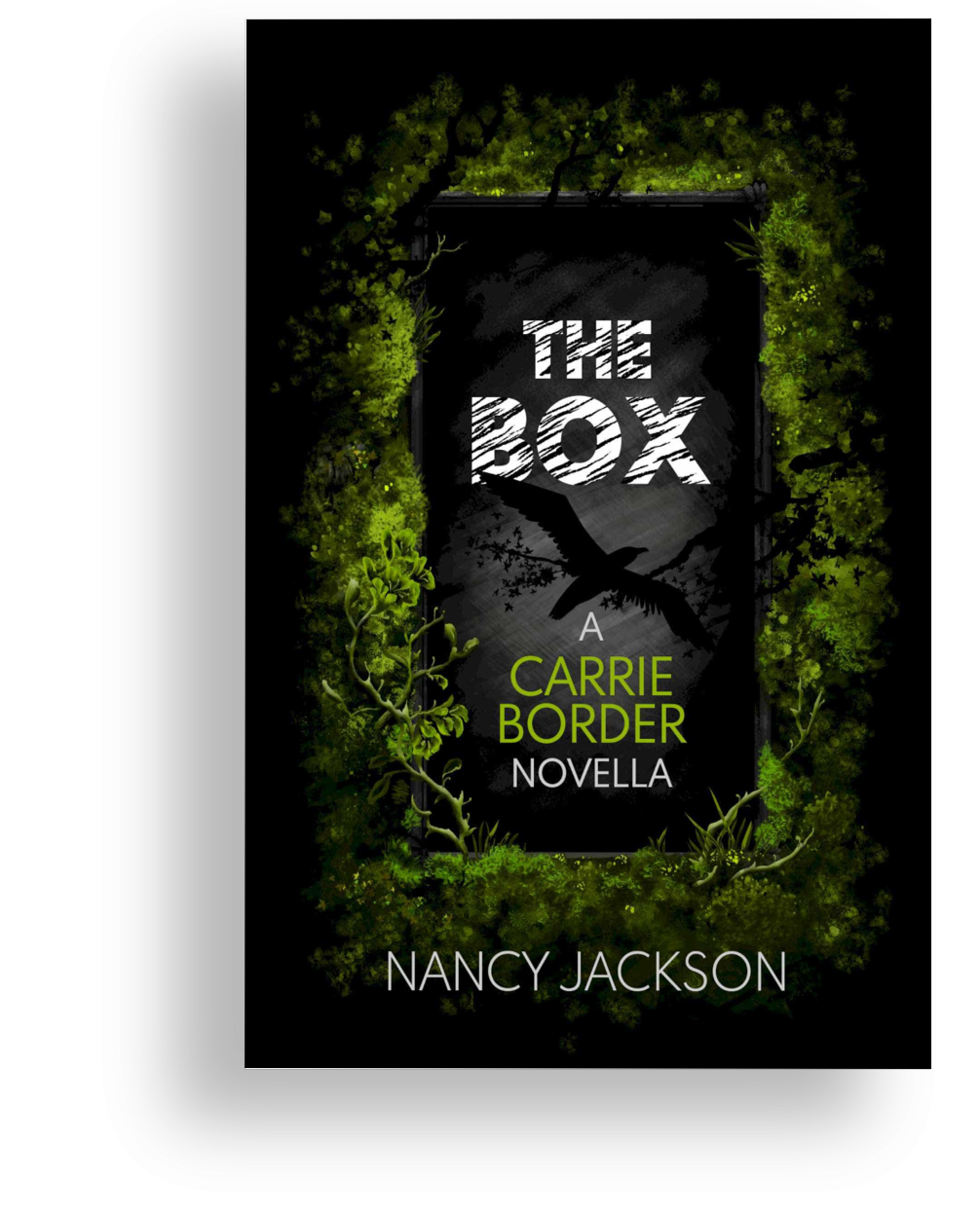 The Box - a Carrie Border novella - Author Signed Soft Cover