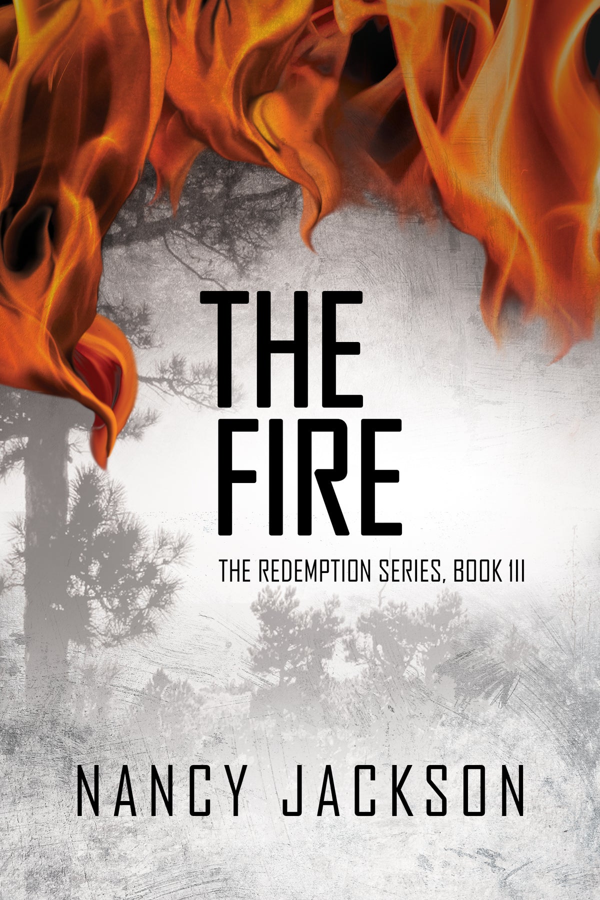 The Fire a novel