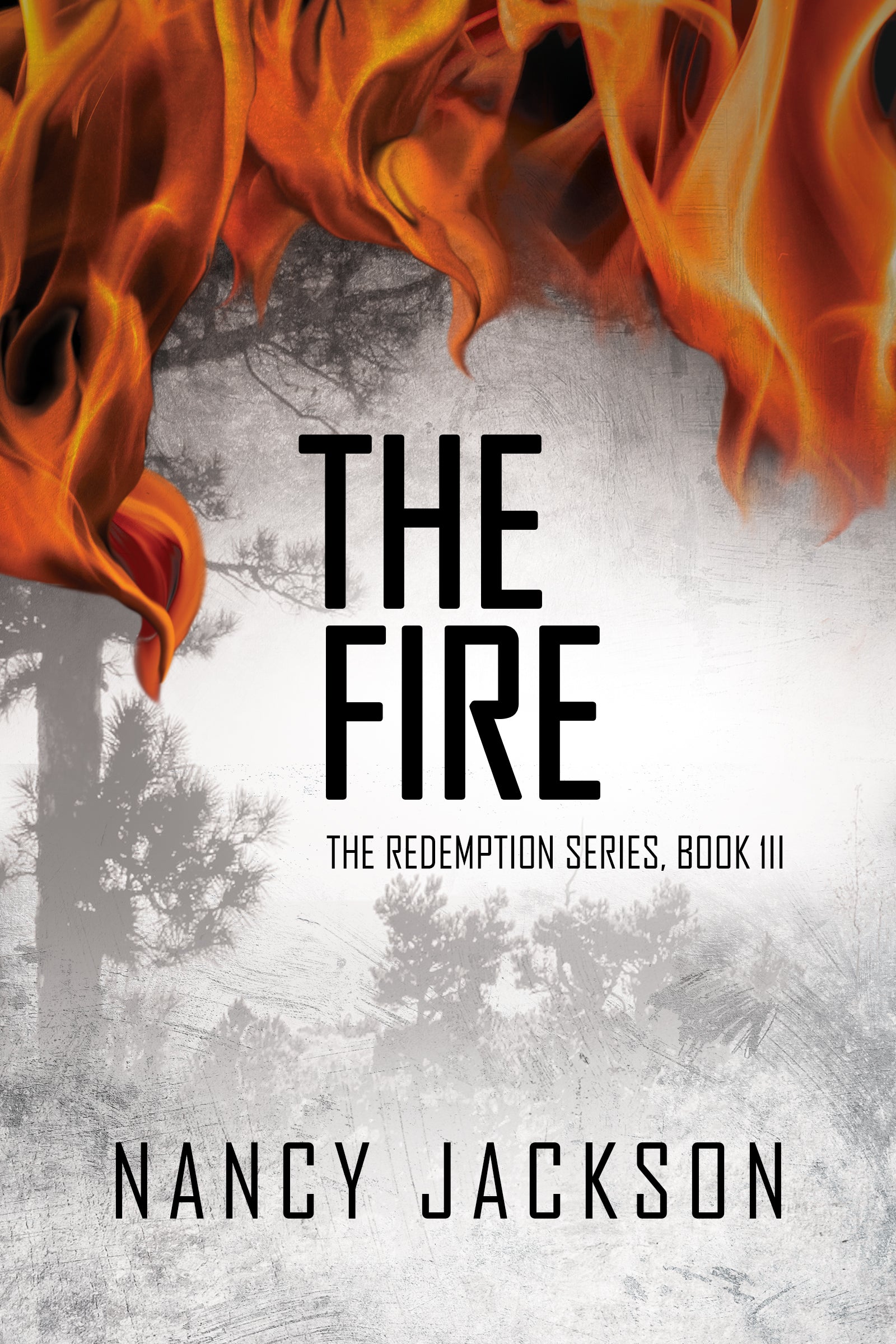 The Fire - Author Signed Soft Cover